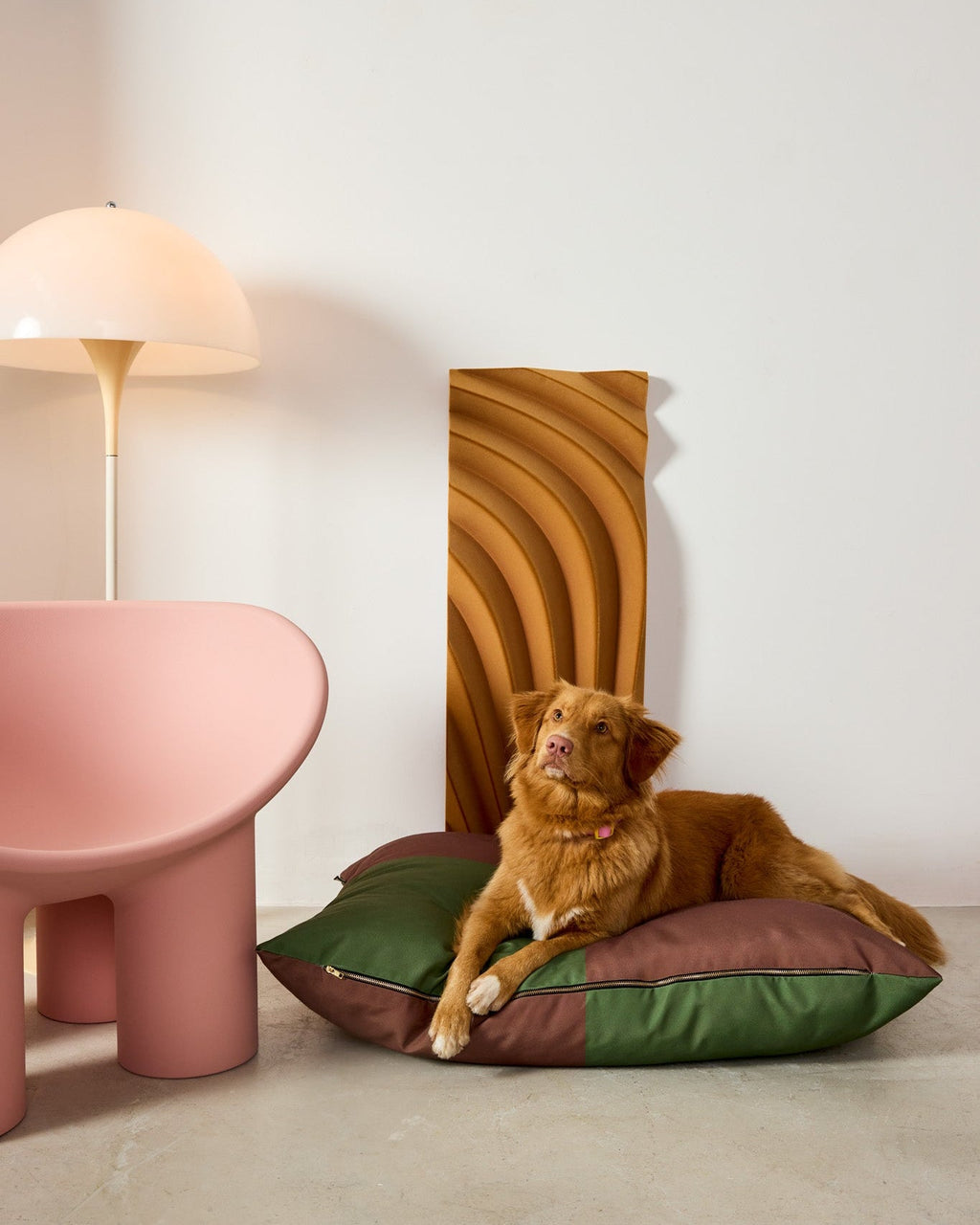 The Fritz Bed