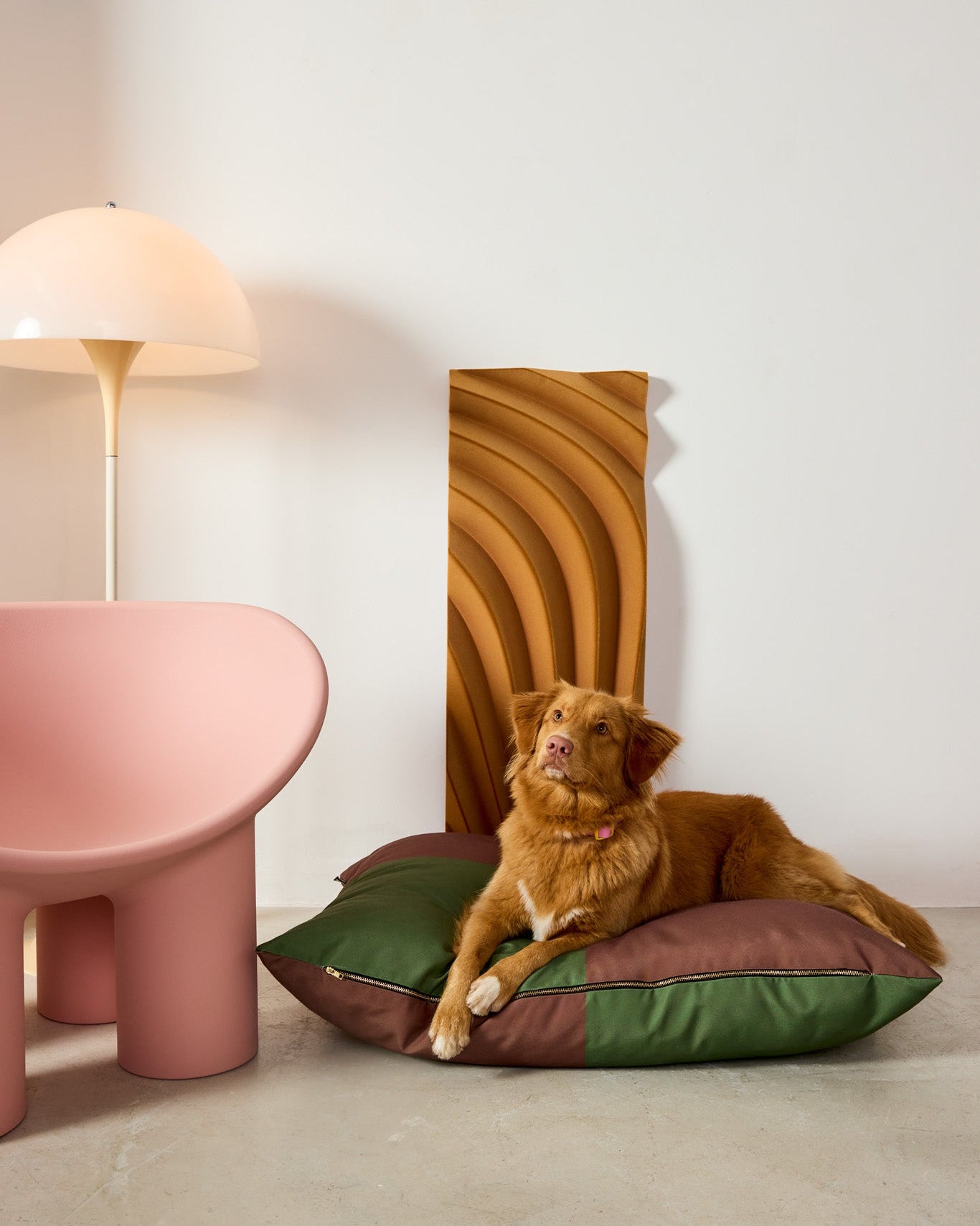 The Fritz Bed