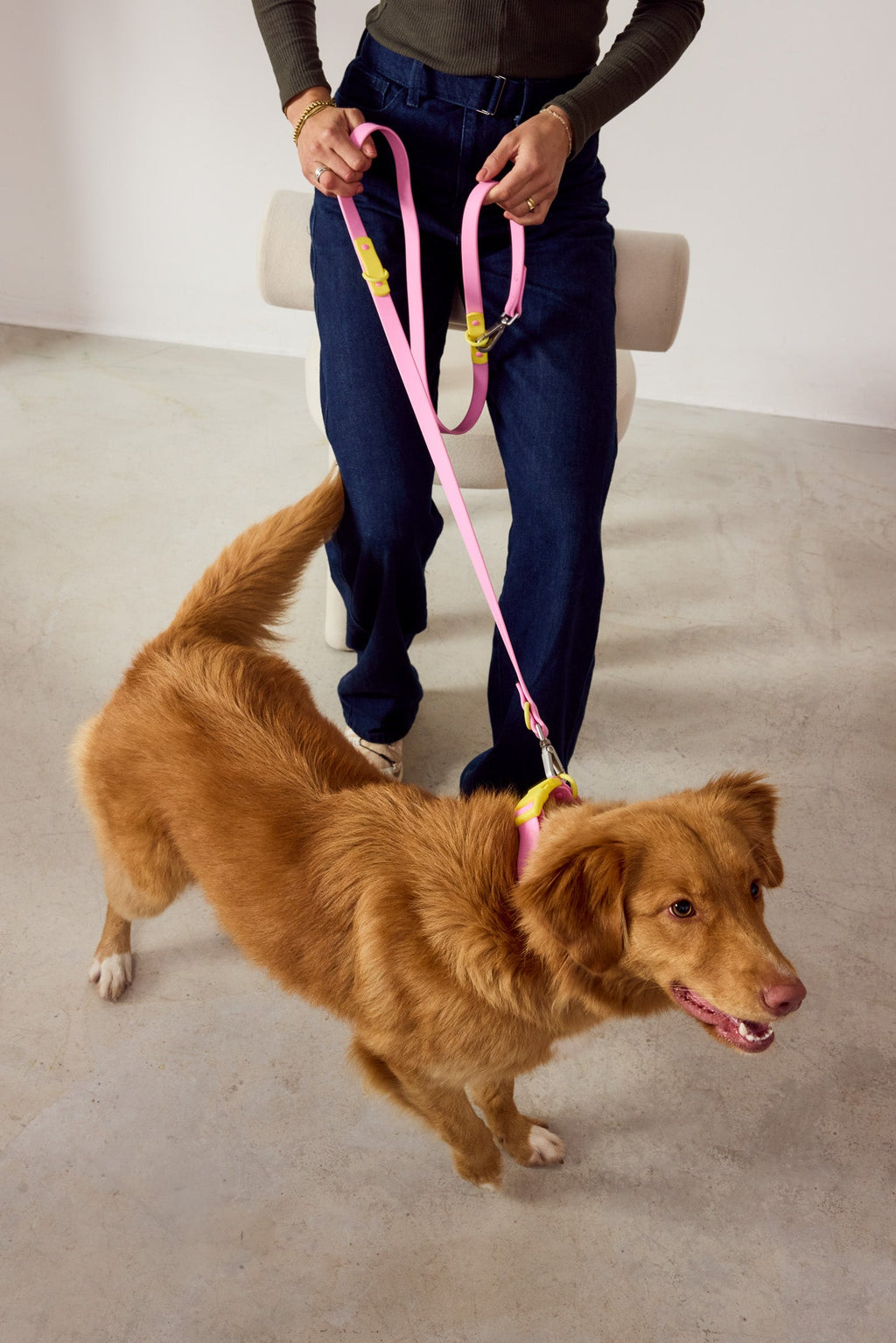 Fritz Collar + Leash Walk Set