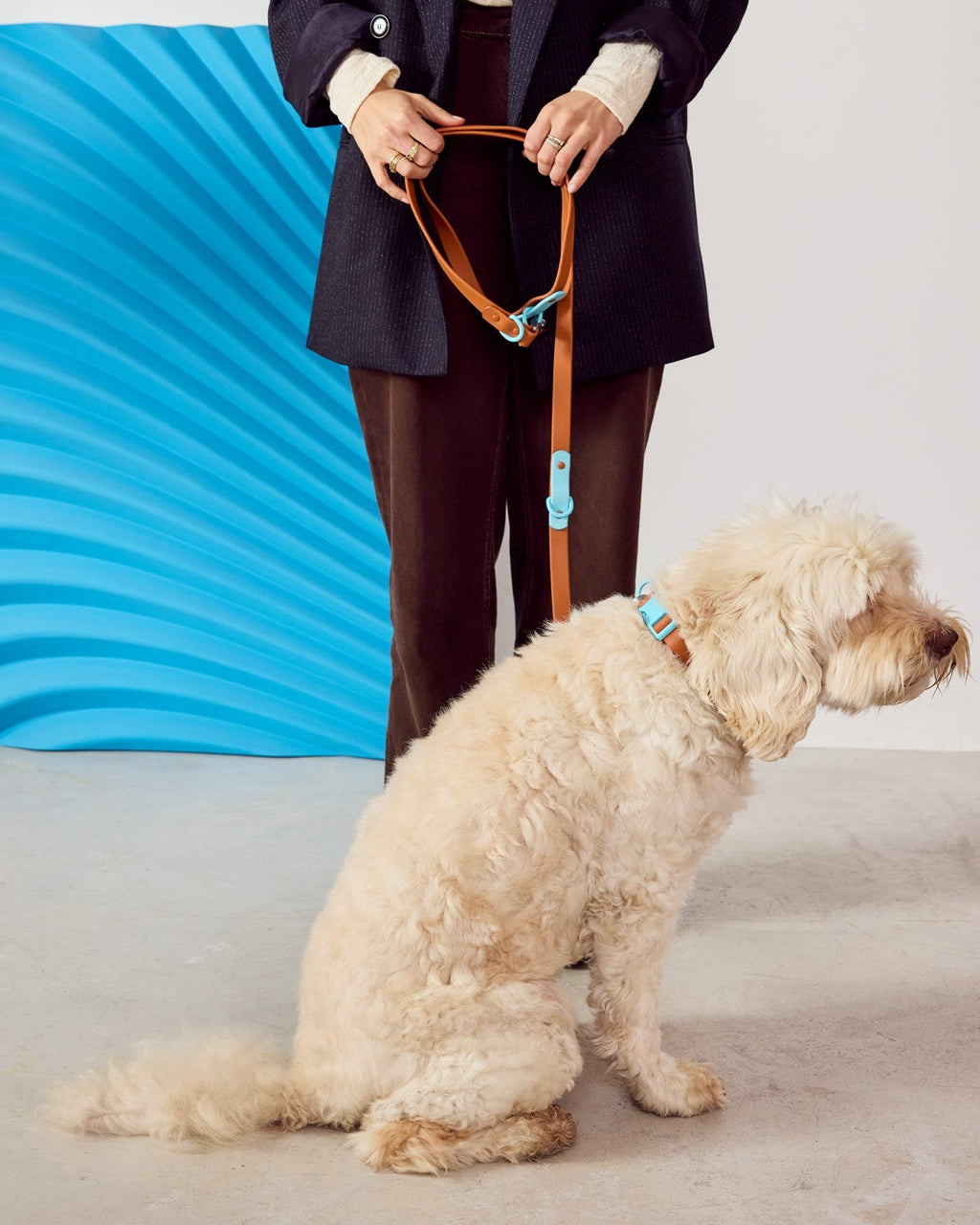 The Fritz Leash