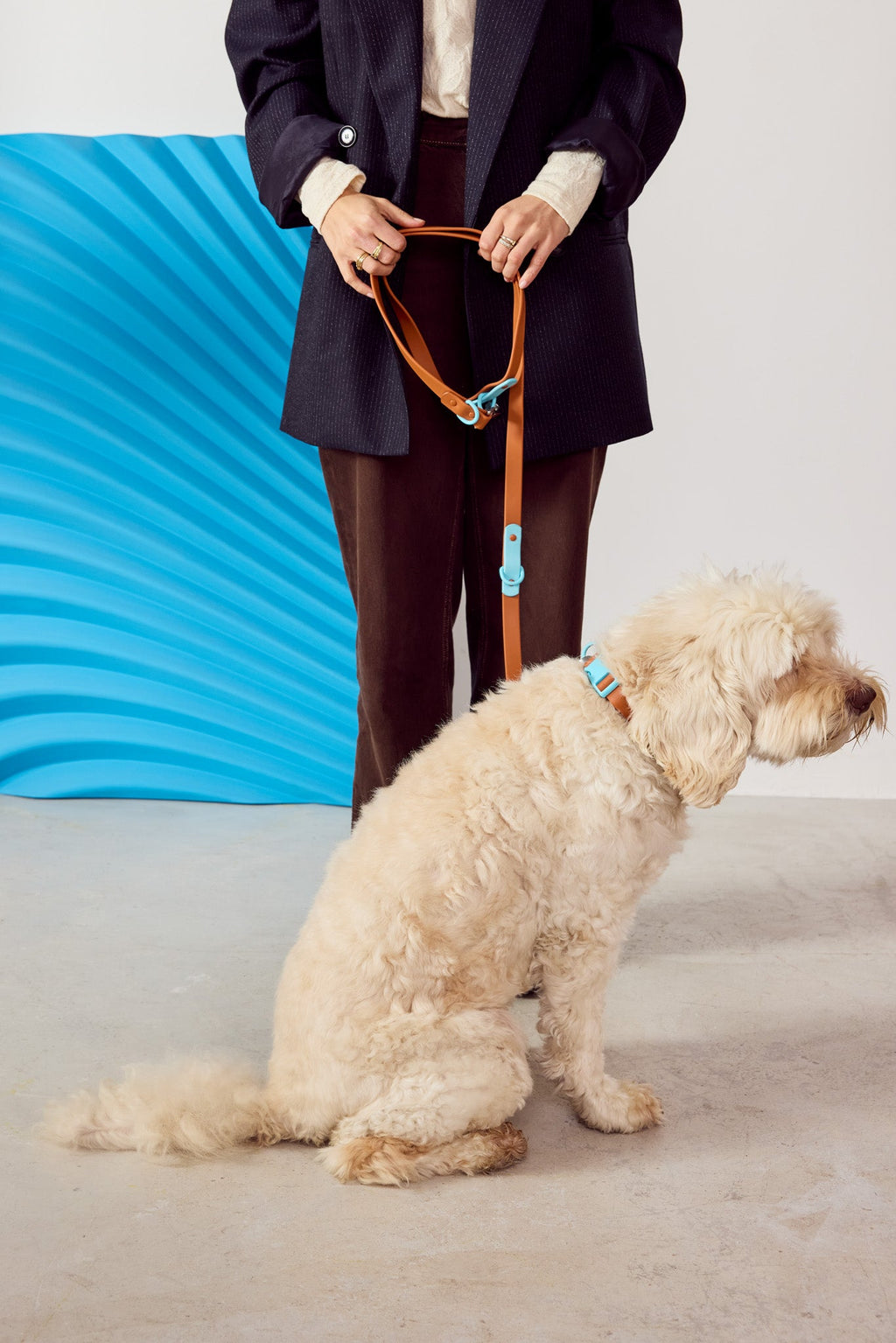 Fritz Collar + Leash Walk Set