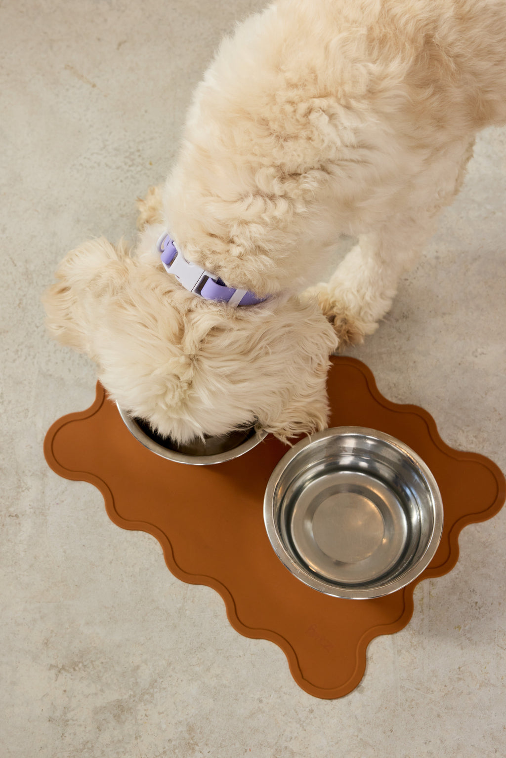 The Fritz Dog Bowl Mat