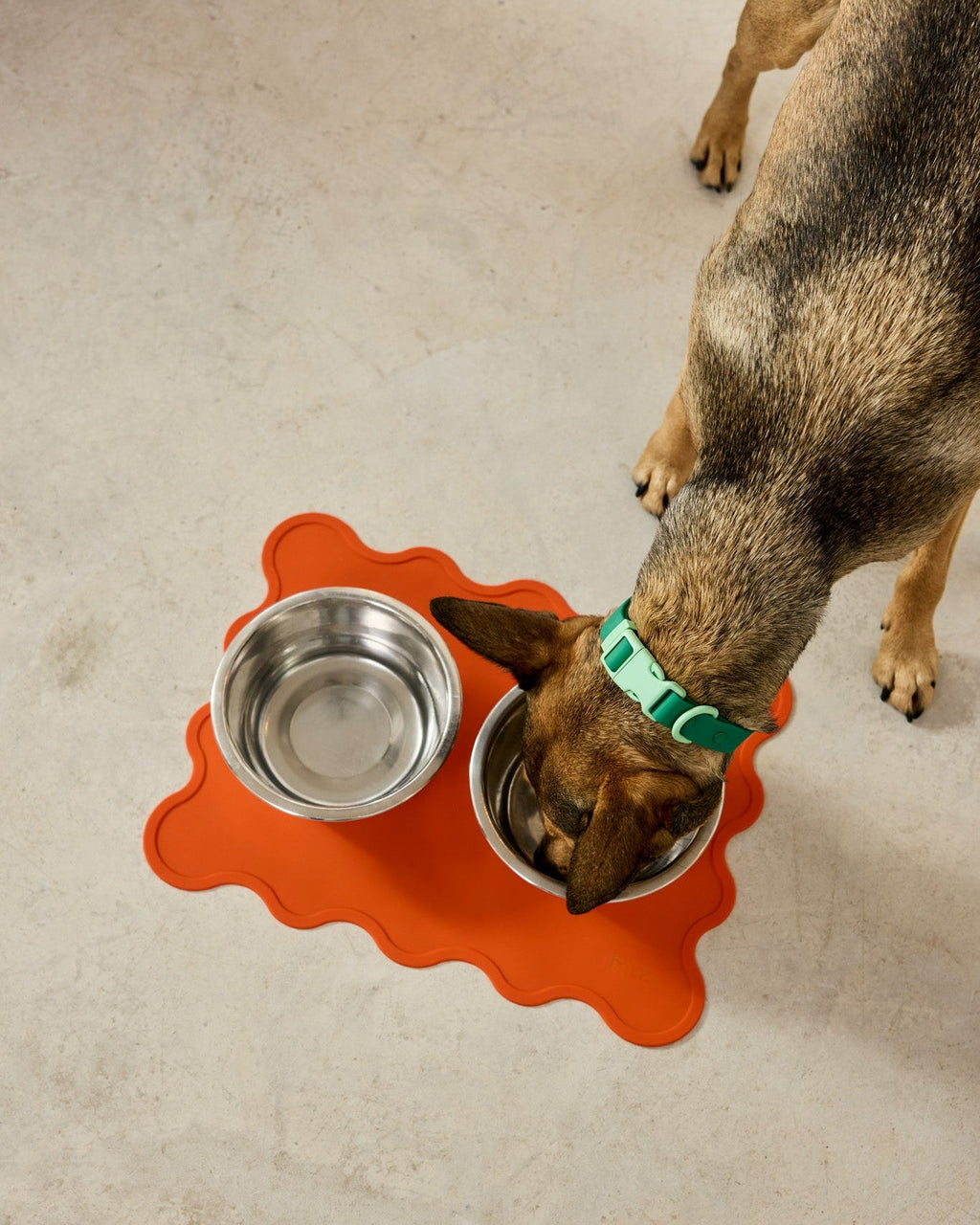 The Fritz Dog Bowl Mat