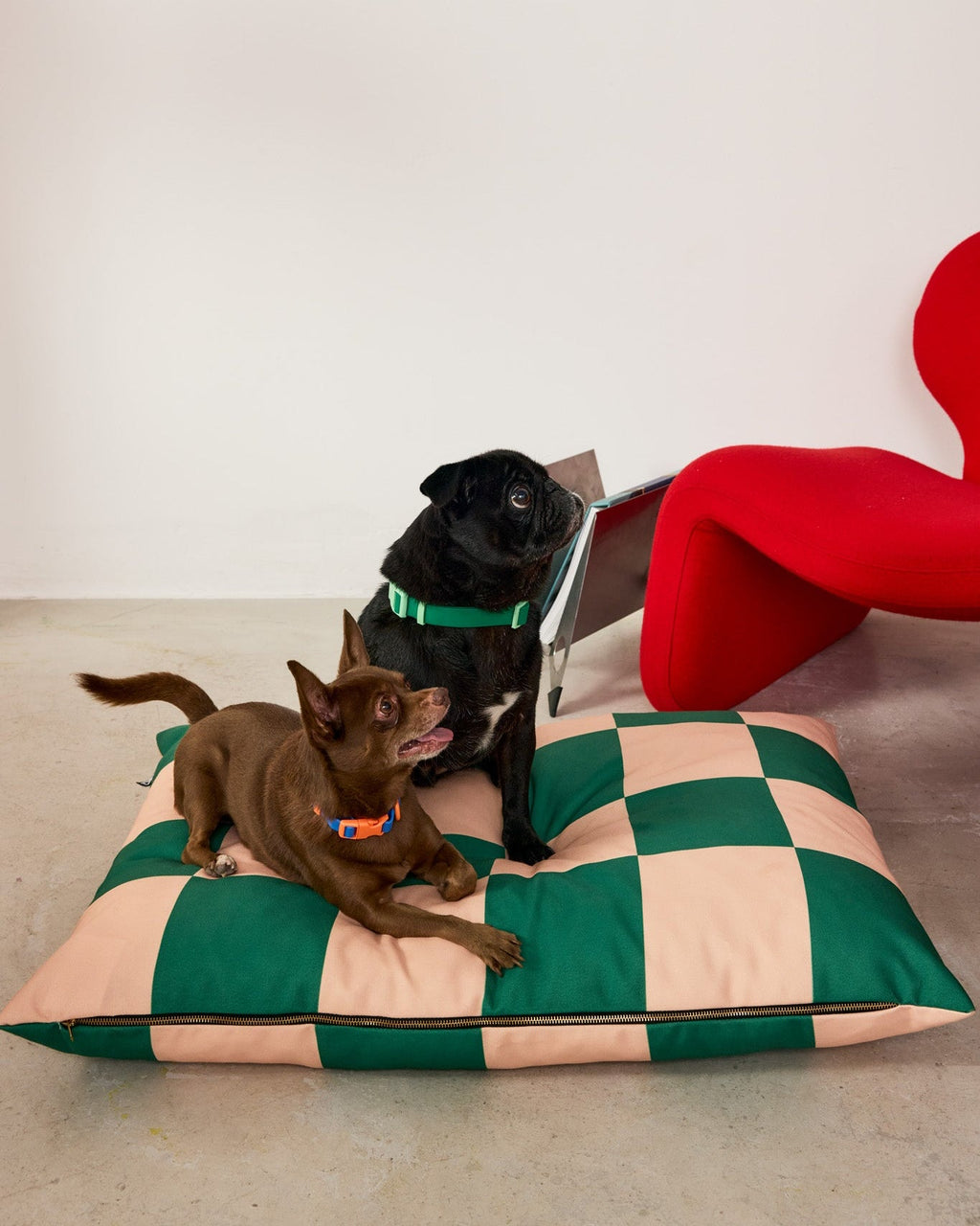 The Fritz Bed