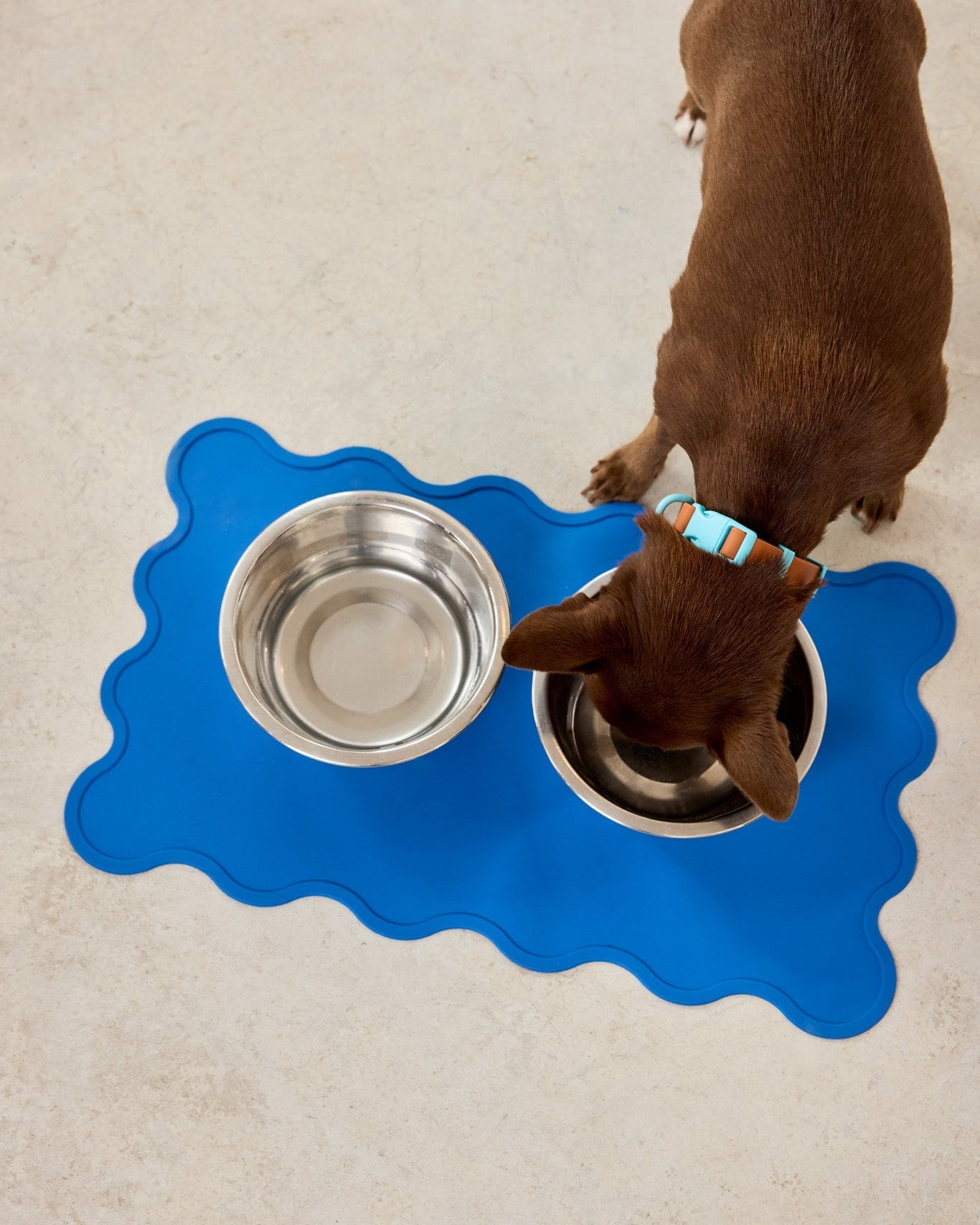 The Fritz Dog Bowl Mat