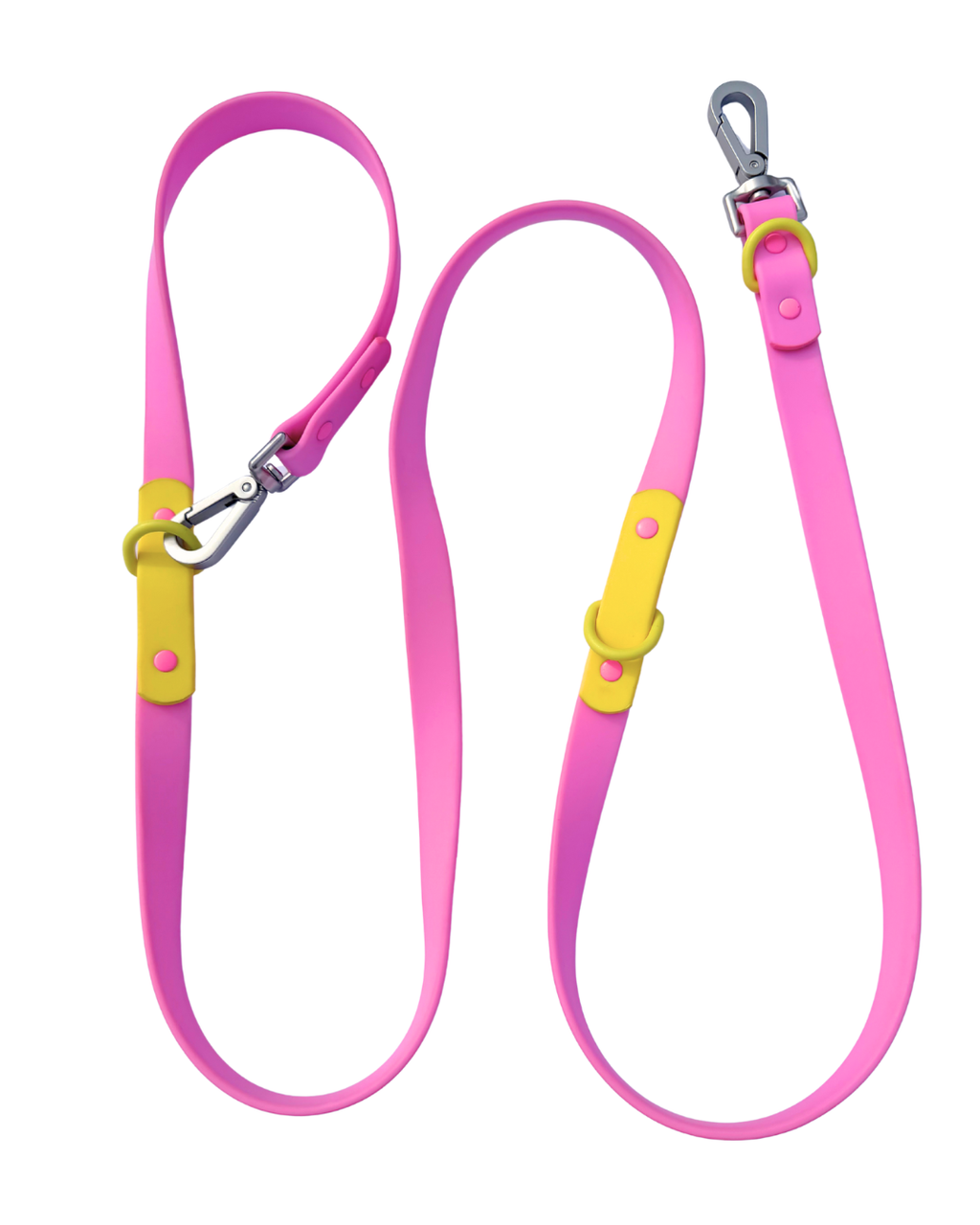 The Fritz Leash