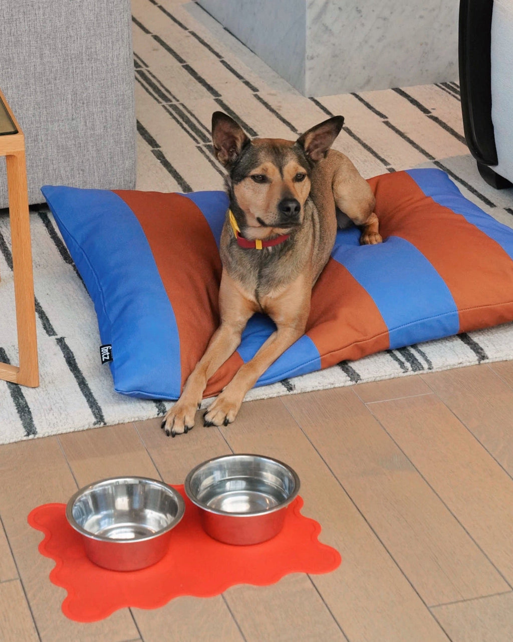 The Fritz Dog Bowl Mat