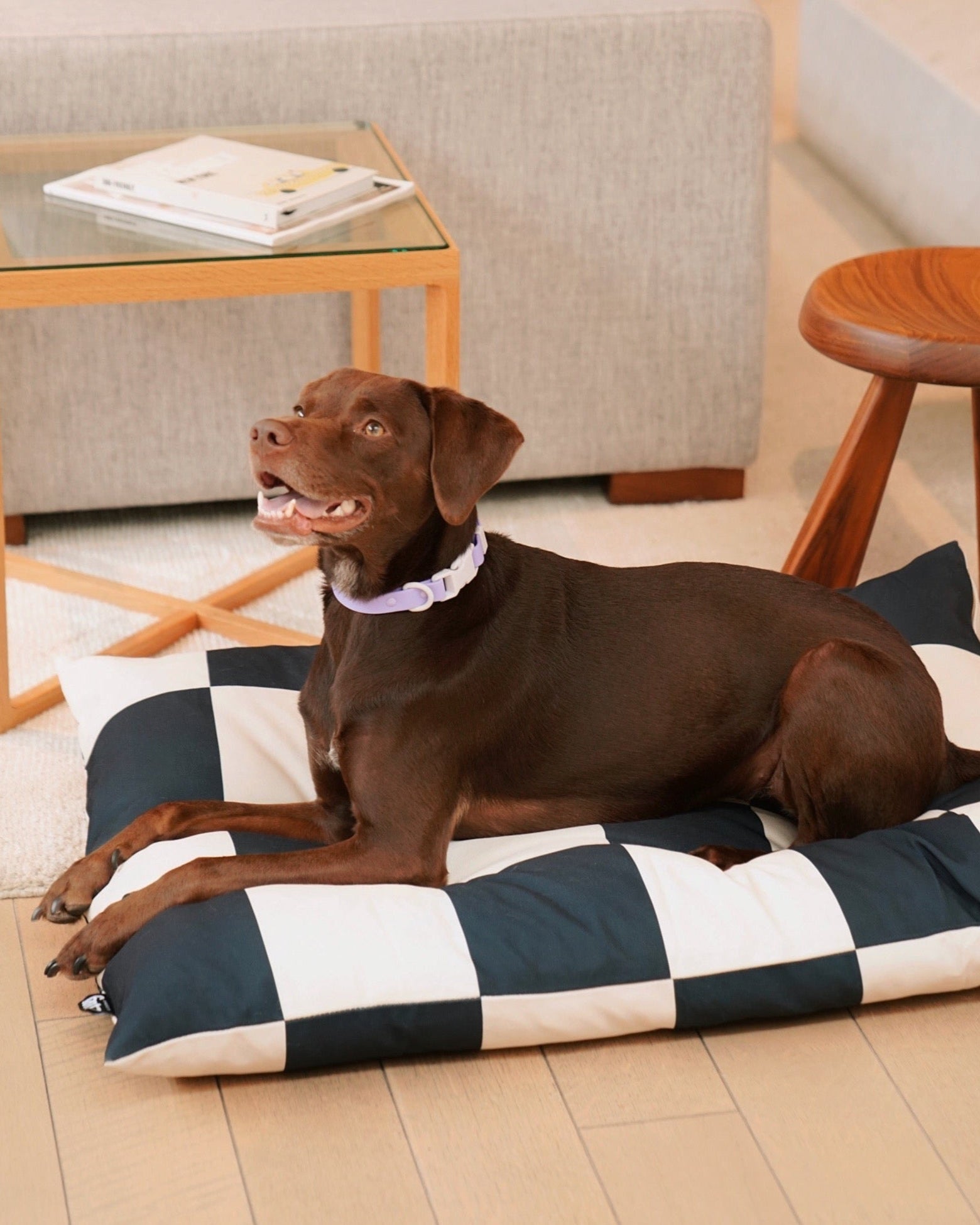 The Fritz Bed Cover