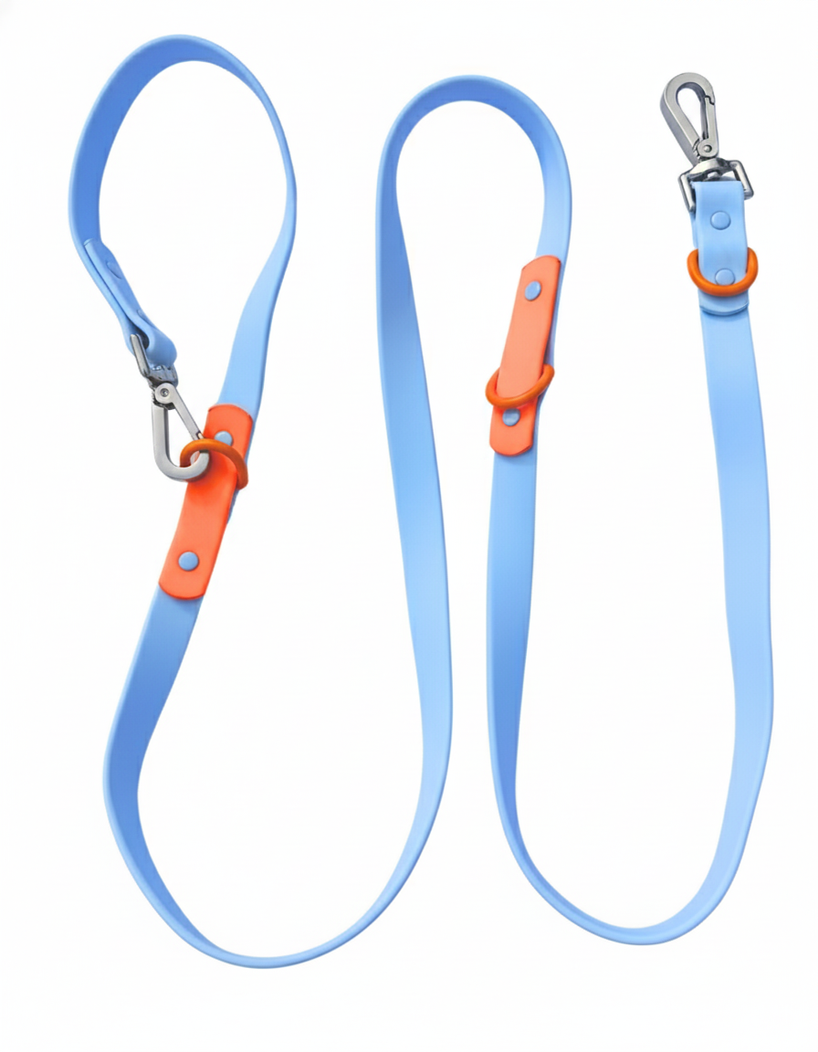 The Fritz Leash