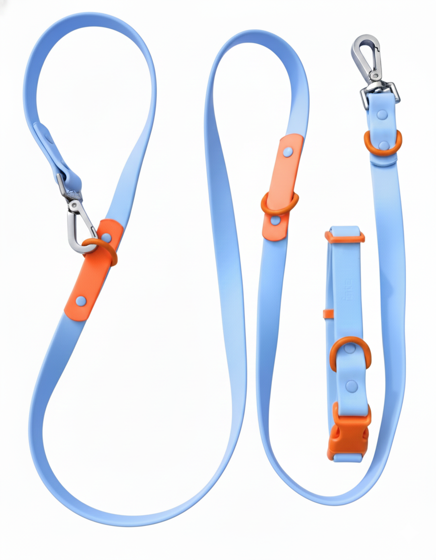 Fritz Collar + Leash Walk Set