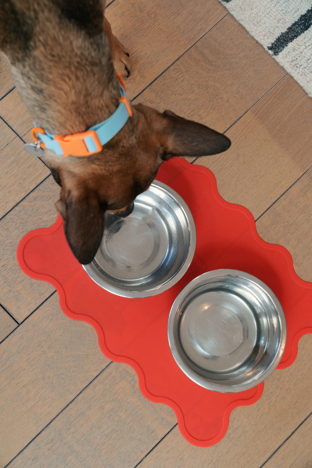 The Fritz Dog Bowl Mat