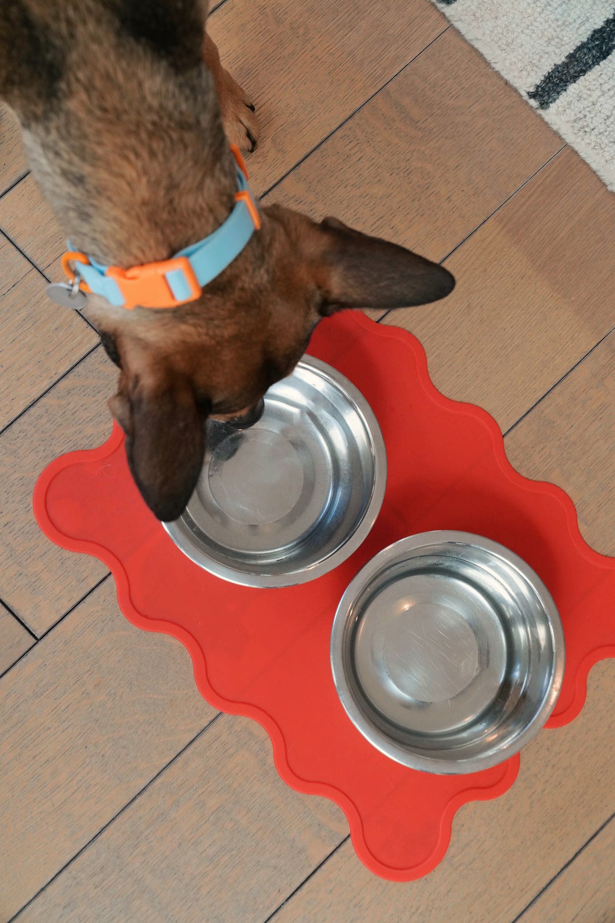 The Fritz Dog Bowl Mat