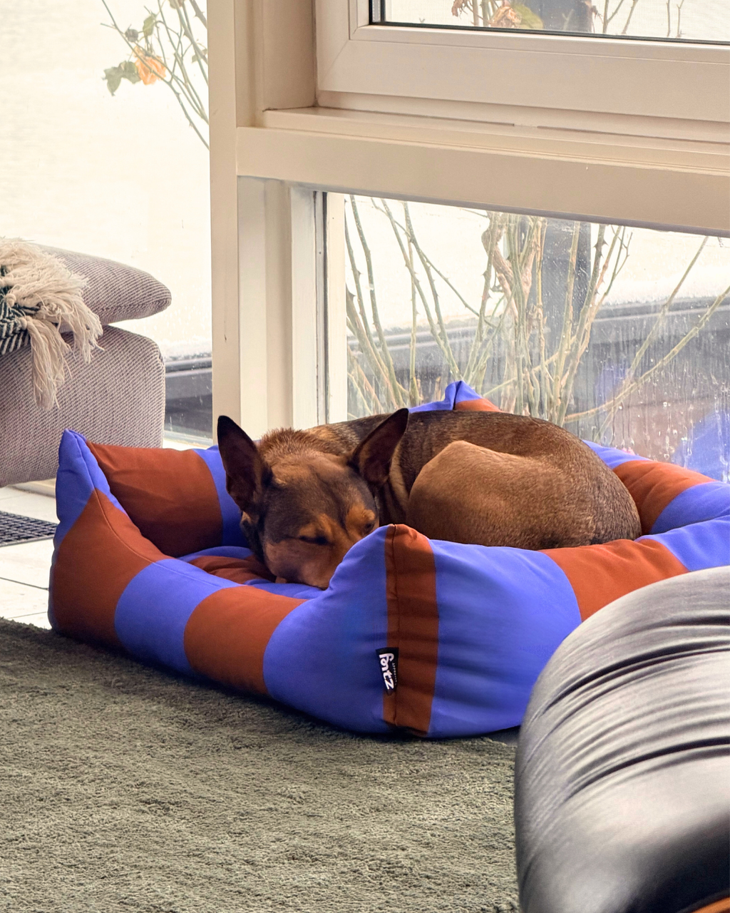 The Fritz Nest Bed Grande