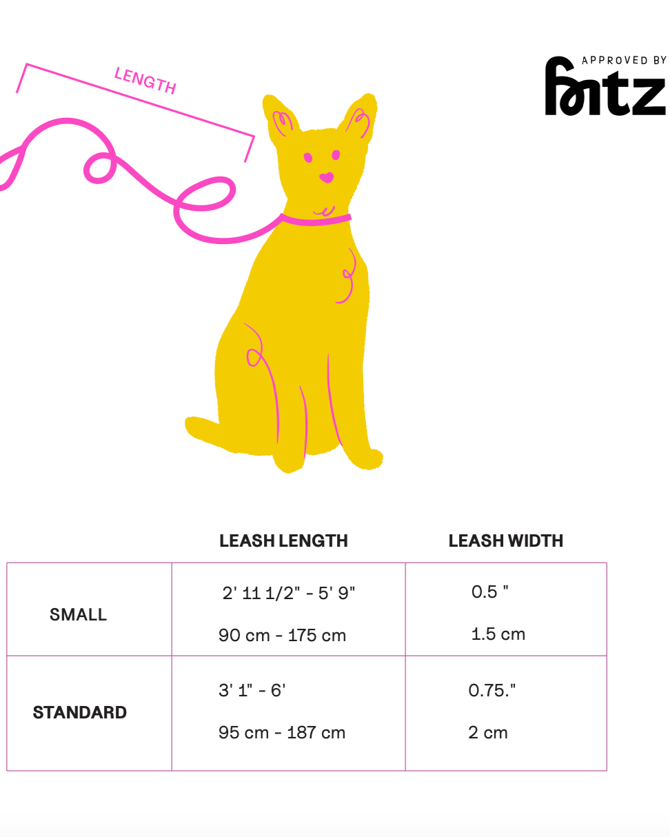 The Fritz Leash