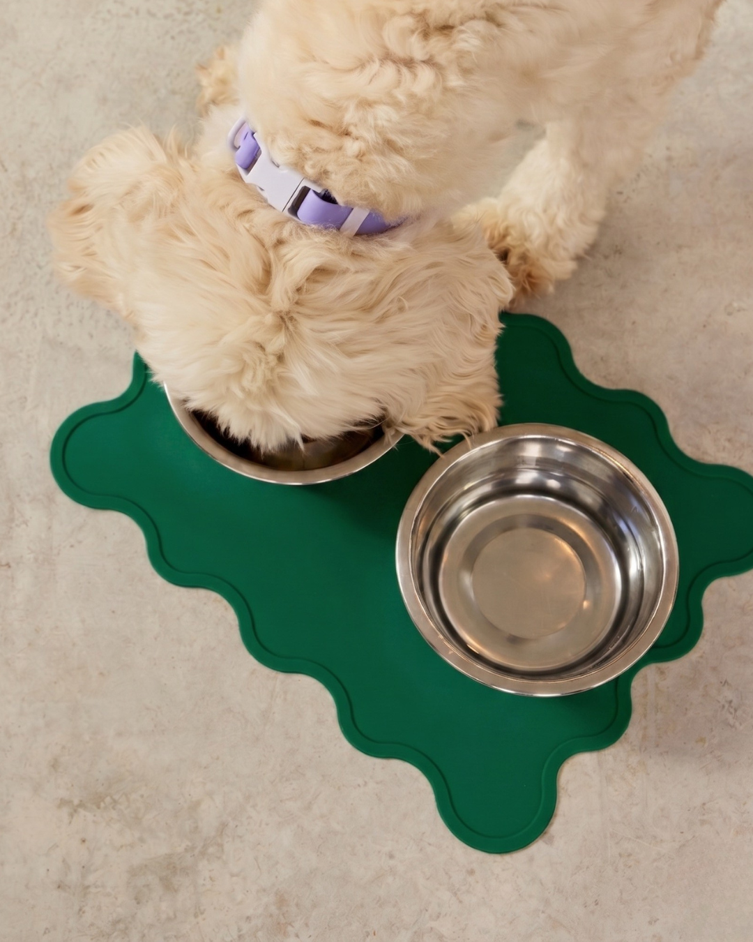 The Fritz Dog Bowl Mat