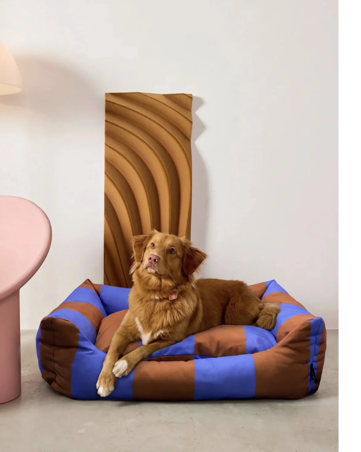 The Fritz Nest Bed