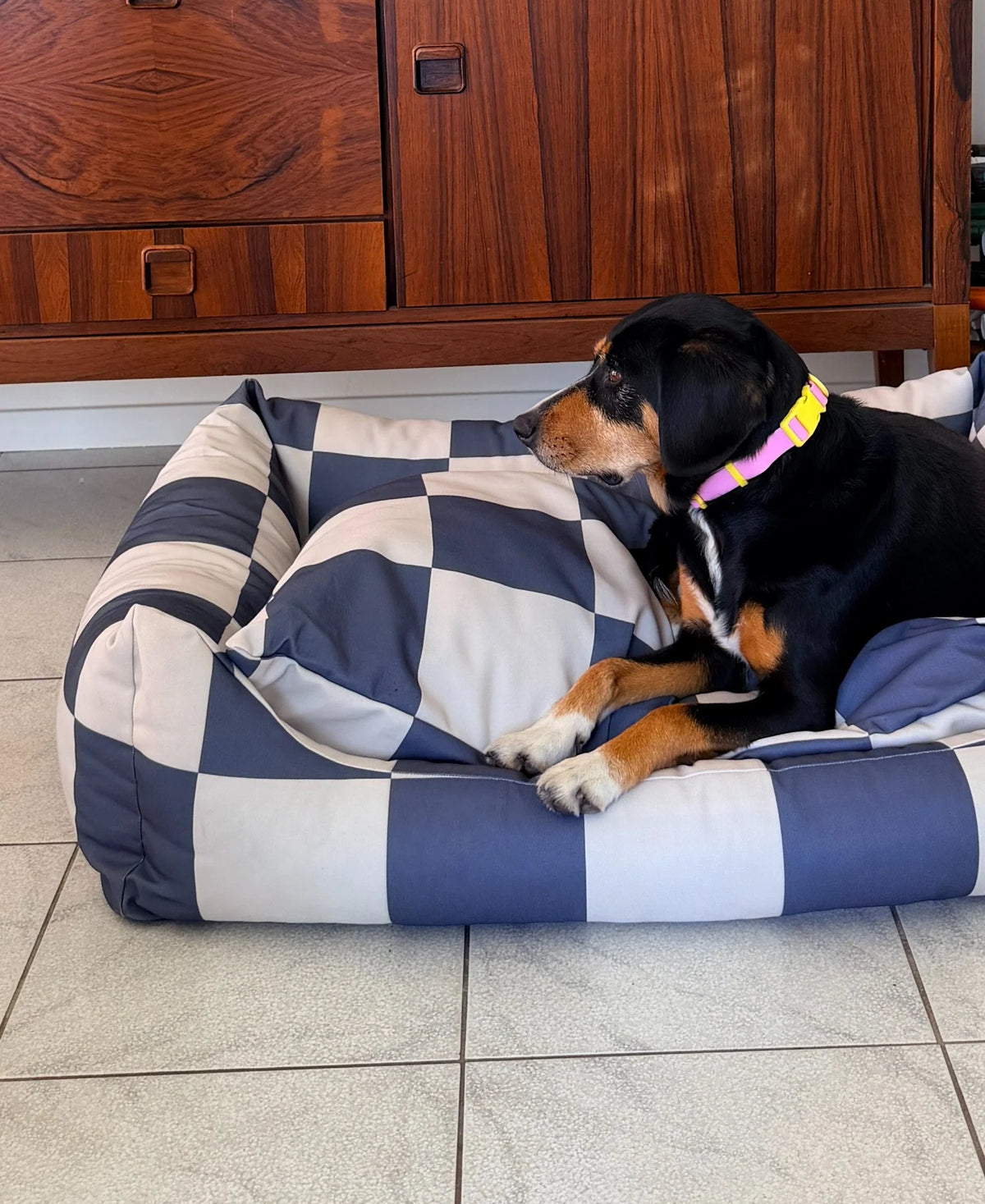 The Fritz Nest Bed