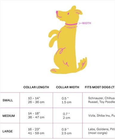 Fritz Collar + Leash Walk Set