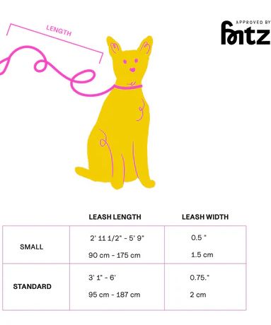 Fritz Collar + Leash Walk Set